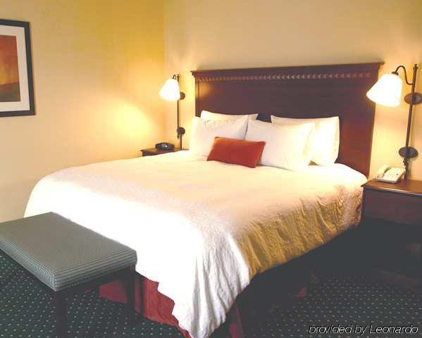 Hampton Inn Gadsden/Attalla Interstate 59 Room photo